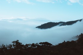 描写雪的优美句子精选图